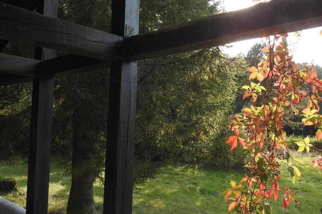 Modrzewiowy Domek Letniskowy - Stare Czaple Brodnica  Luaran gambar