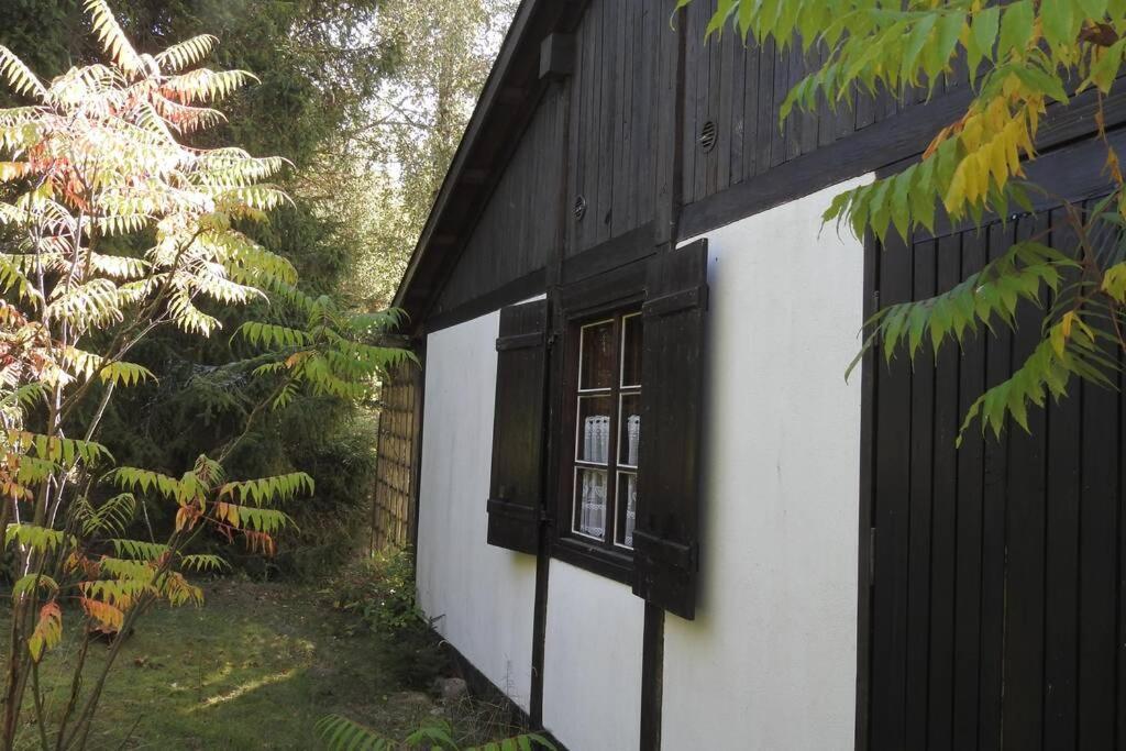 Modrzewiowy Domek Letniskowy - Stare Czaple Brodnica  Luaran gambar