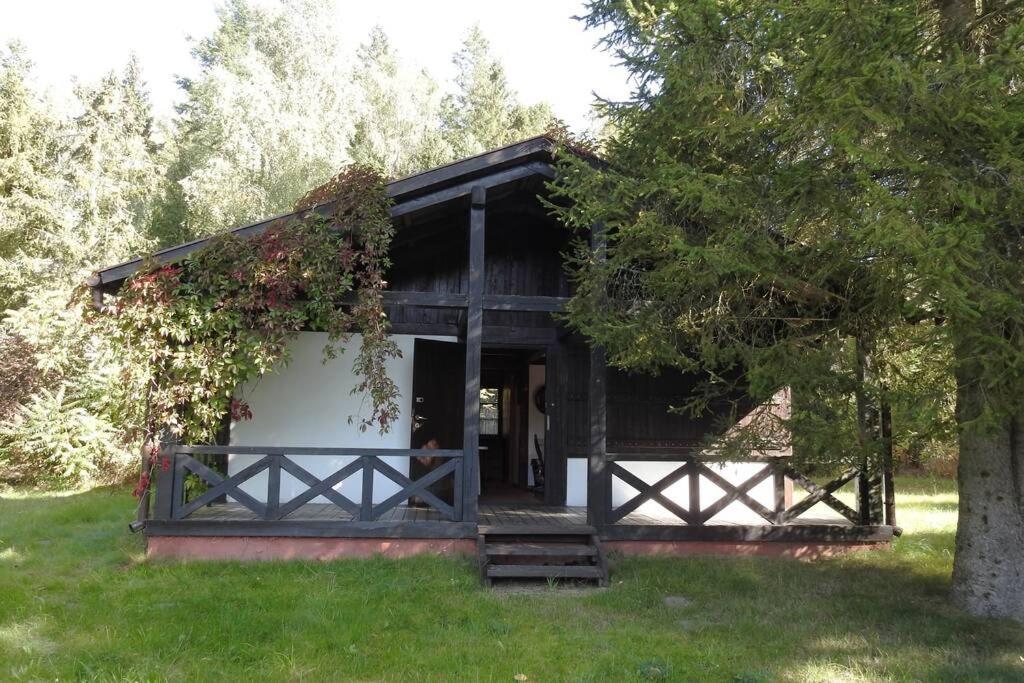 Modrzewiowy Domek Letniskowy - Stare Czaple Brodnica  Luaran gambar