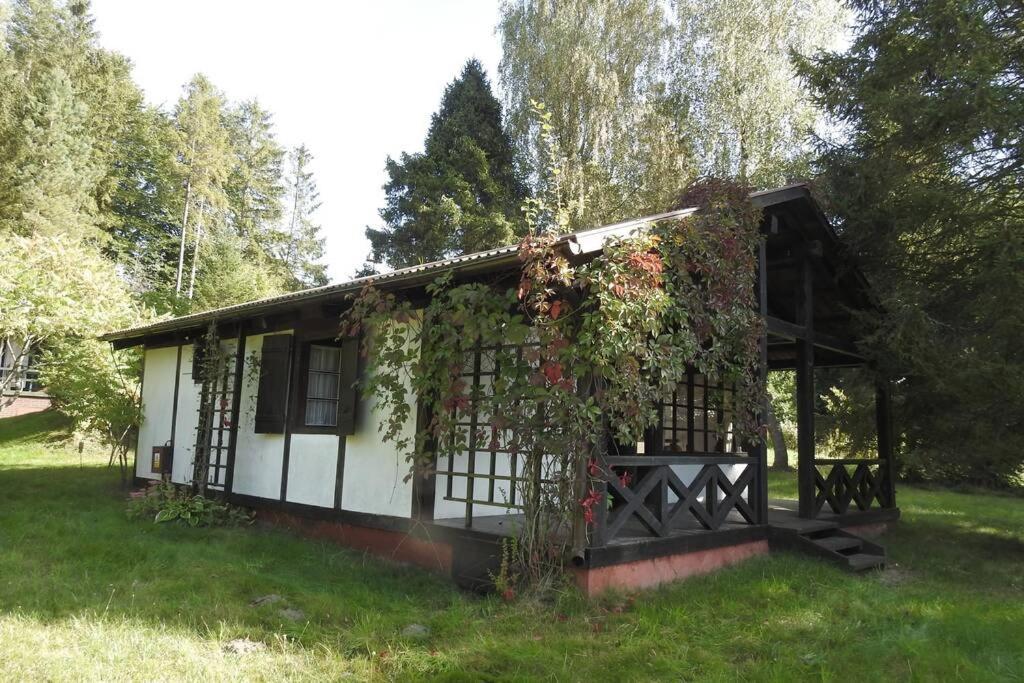 Modrzewiowy Domek Letniskowy - Stare Czaple Brodnica  Luaran gambar