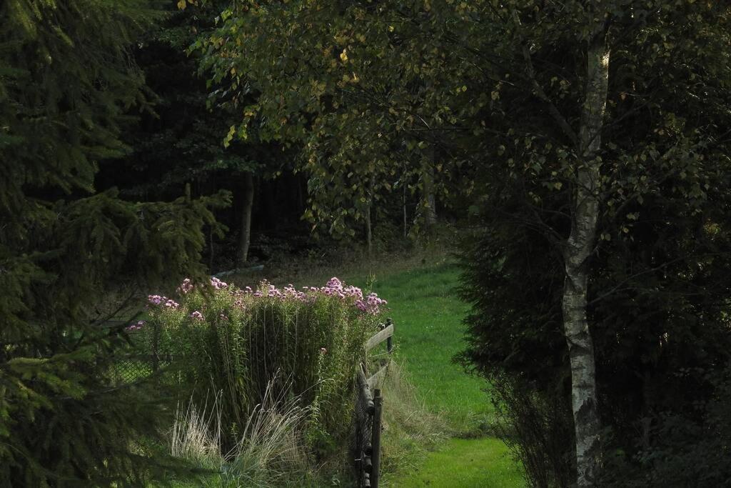 Modrzewiowy Domek Letniskowy - Stare Czaple Brodnica  Luaran gambar